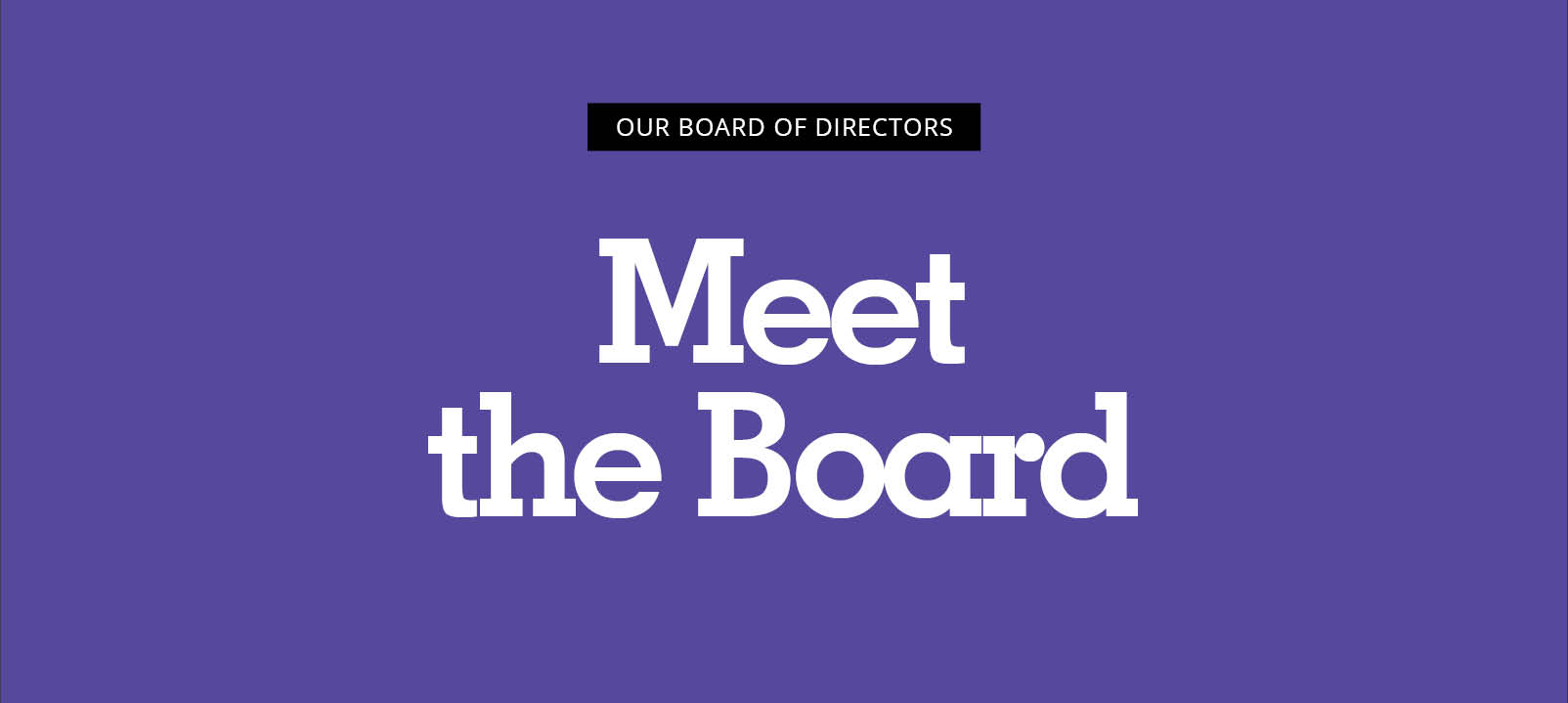 the words "meet the board" in white text on a purple background